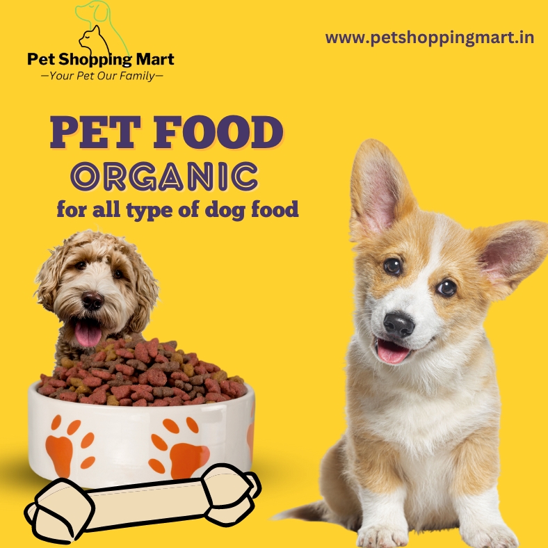 Unveiling The Mystery Of Dog Treat Bones: A Comprehensive Guide